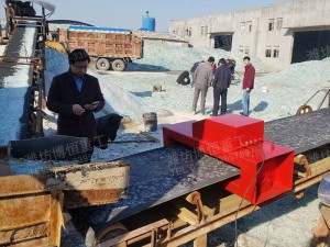 化工金屬探測儀